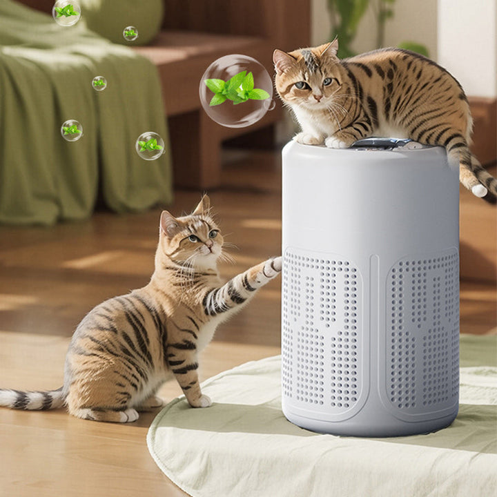 Air Purifier | Whisper-Quiet Operation for Rooms up to 50 m² | USB Powered, Filters Dust, Pollen &amp; Allergens for Cleaner Air