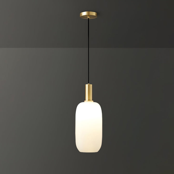 Glass Pendant Ceiling Light E27 Fitting Adjustable Cord 31
