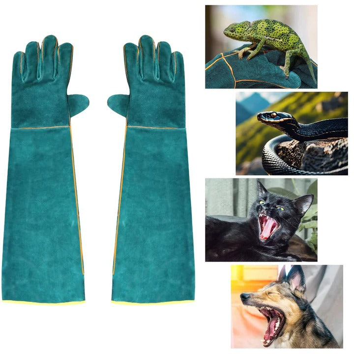 Animal Handling Gloves Thickened Cowhide Leather | Extended Forearm Cuff | Scratch Resistant, Flexible Five-Finger Design