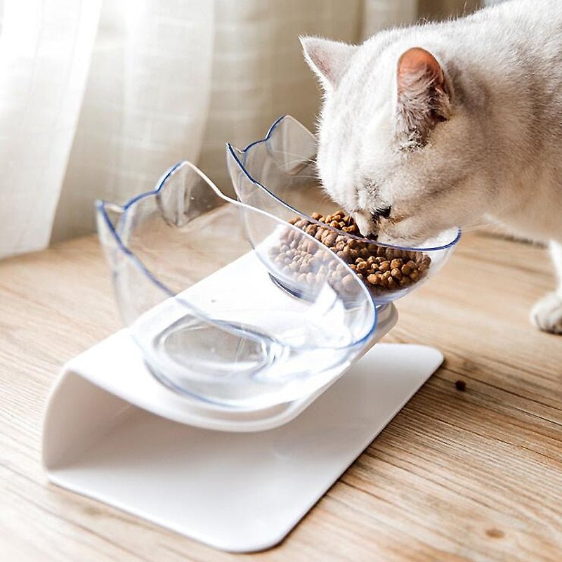 Anti-Vomiting Cat Bowl | Forward Tilt, Lift-Out Twin Bowls