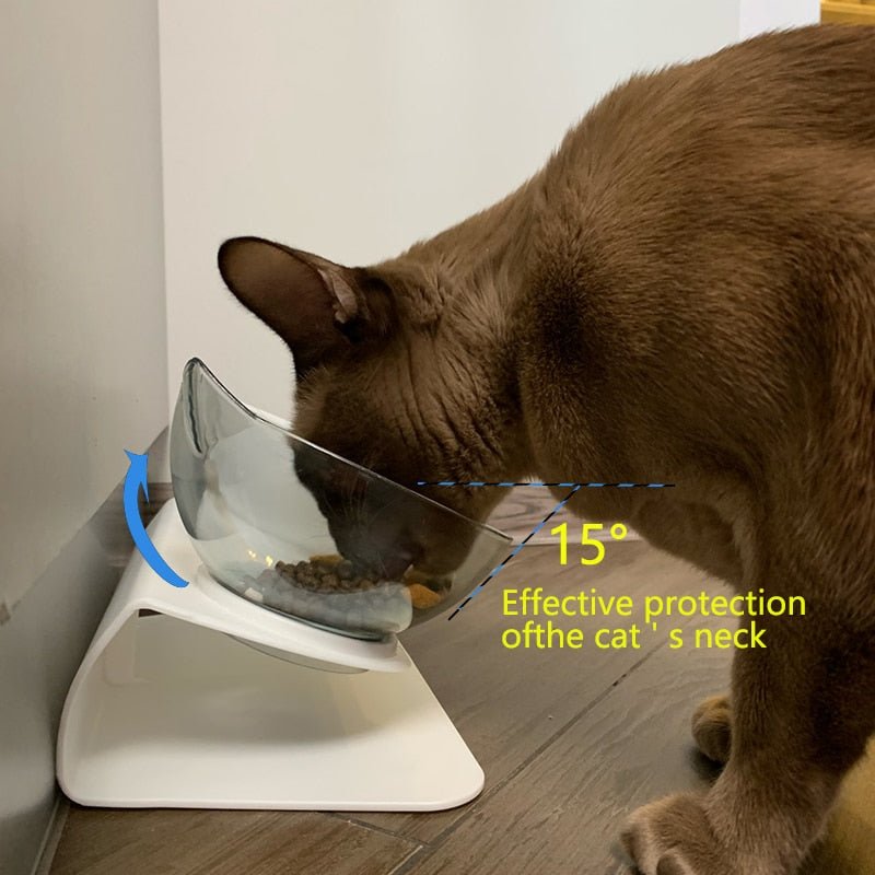 Anti-Vomiting Cat Bowl | Forward Tilt, Lift-Out Twin Bowls