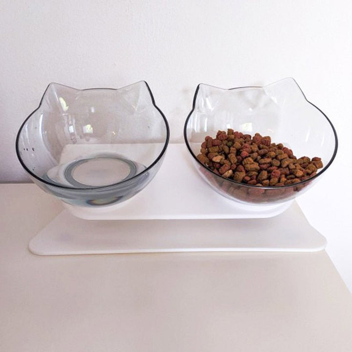 Anti-Vomiting Cat Bowl | Forward Tilt, Lift-Out Twin Bowls