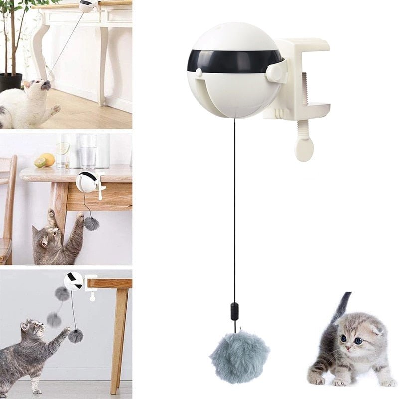 Automatic Cat Toy Ball | Rising Cord Teaser, Edge Clamp