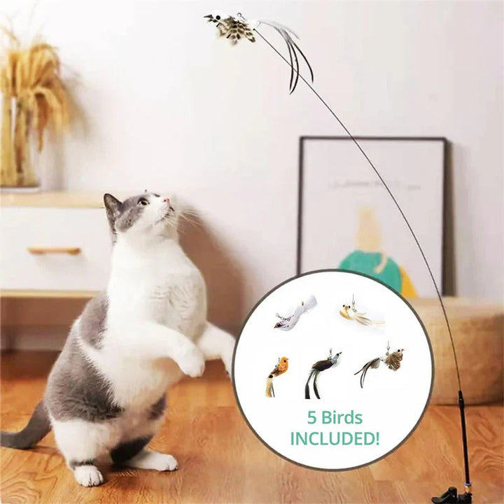 Bird Simulation Cat Toy | Suction Cup Mount, 5 Replaceable Bird Toys with Bells | Encourages Independent Play &amp; Exercise