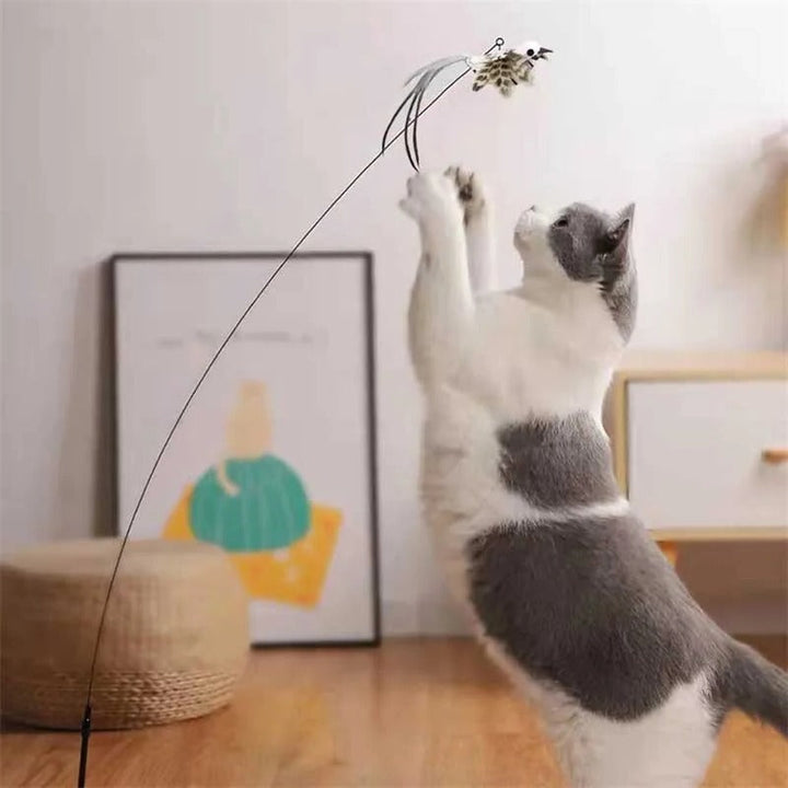 Bird Simulation Cat Toy | Suction Cup Mount, 5 Replaceable Bird Toys with Bells | Encourages Independent Play &amp; Exercise