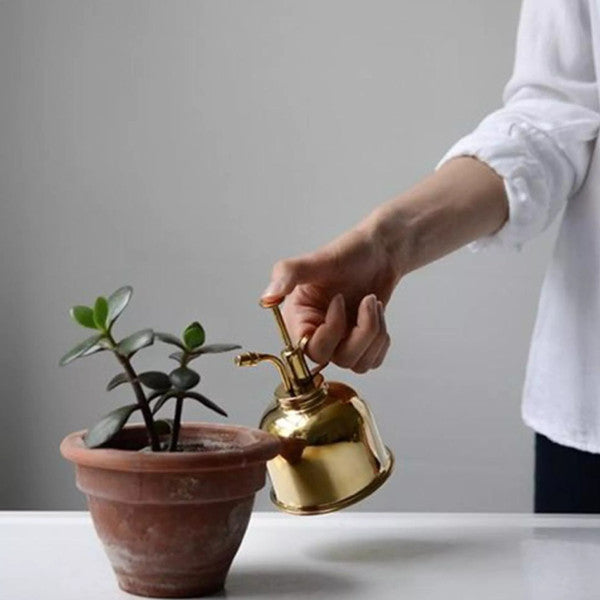 Brass Plant Mister for Men | Fine Mist Spray Mechanism | Lightweight Portable Design for Controlled Plant Watering