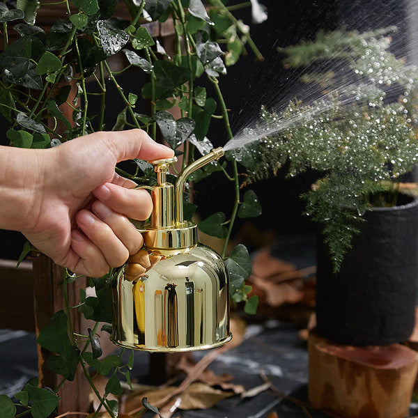 Brass Plant Mister for Men | Fine Mist Spray Mechanism | Lightweight Portable Design for Controlled Plant Watering
