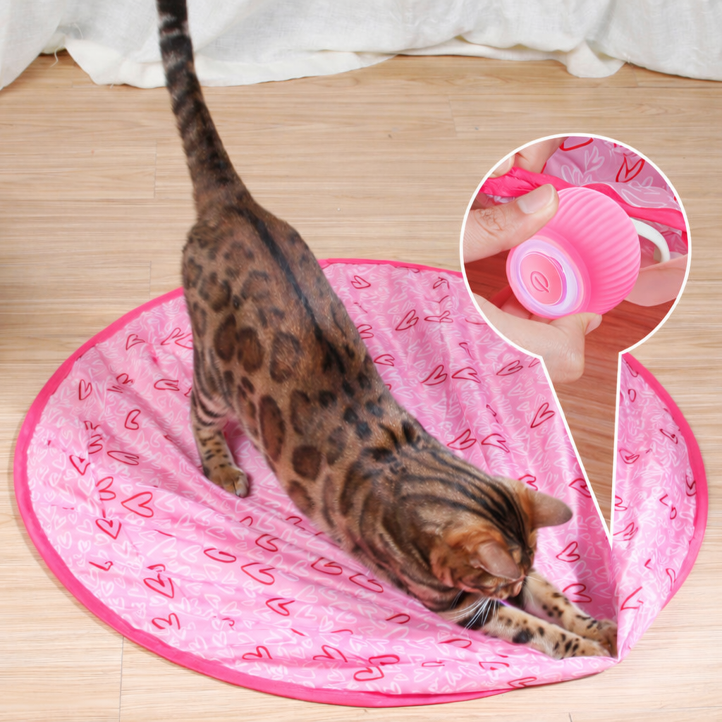 Interactive Rolling Cat Ball | Smart Touch Activation &amp; Obstacle Sensing | USB Rechargeable Automatic Pet Toy for Cats 3