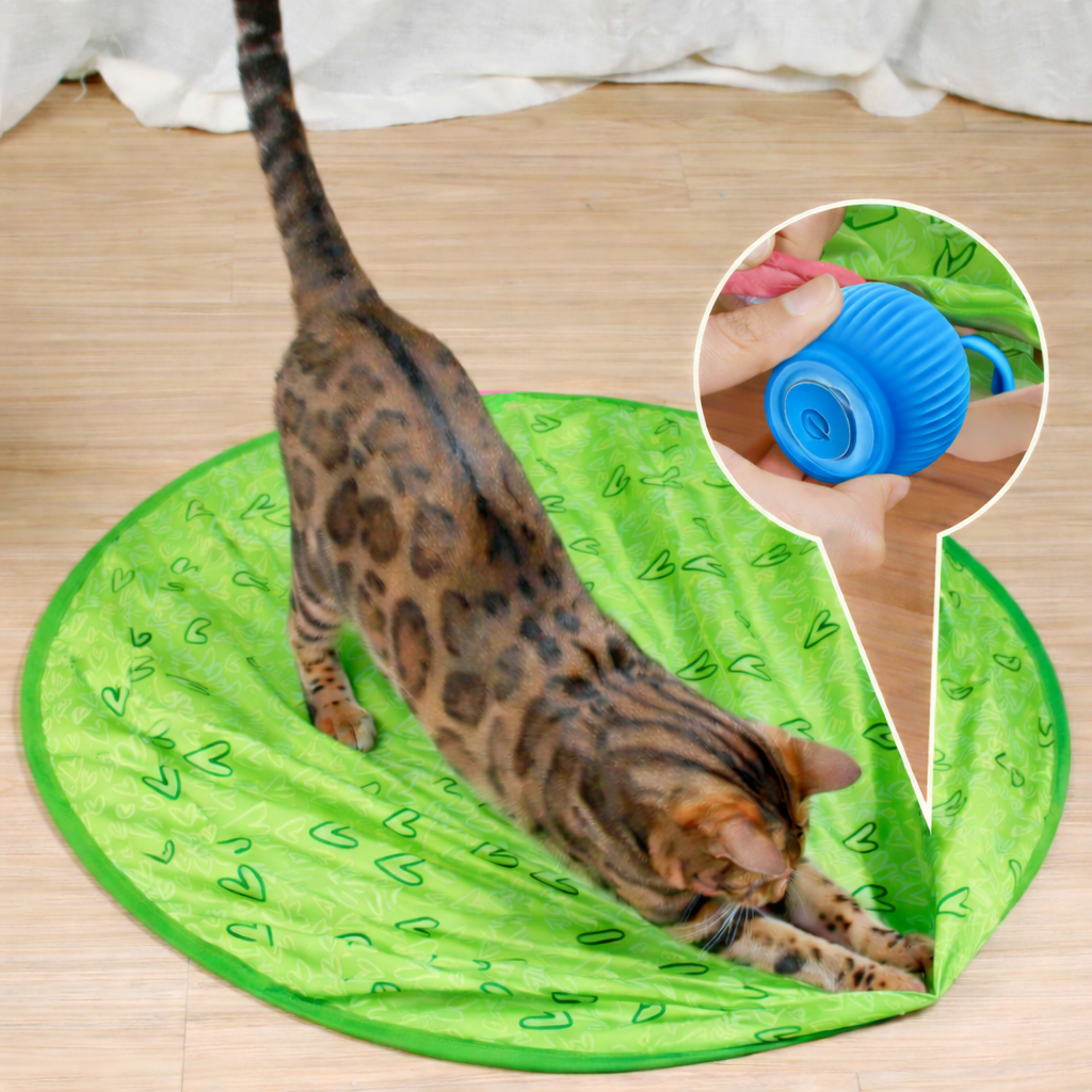 Interactive Rolling Cat Ball | Smart Touch Activation &amp; Obstacle Sensing | USB Rechargeable Automatic Pet Toy for Cats 4