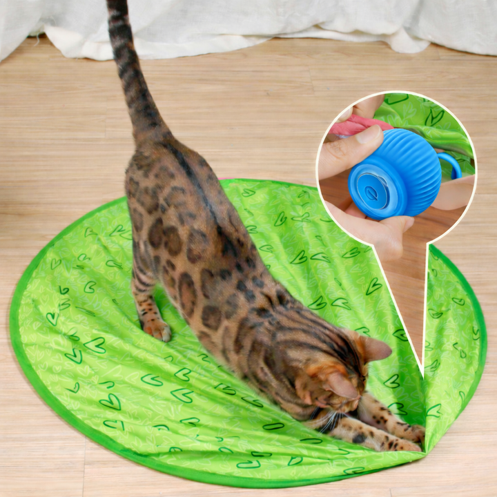 Interactive Rolling Cat Ball | Smart Touch Activation &amp; Obstacle Sensing | USB Rechargeable Automatic Pet Toy for Cats 4
