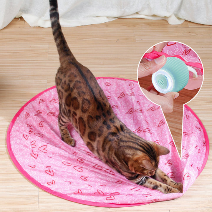 Interactive Rolling Cat Ball | Smart Touch Activation &amp; Obstacle Sensing | USB Rechargeable Automatic Pet Toy for Cats 6