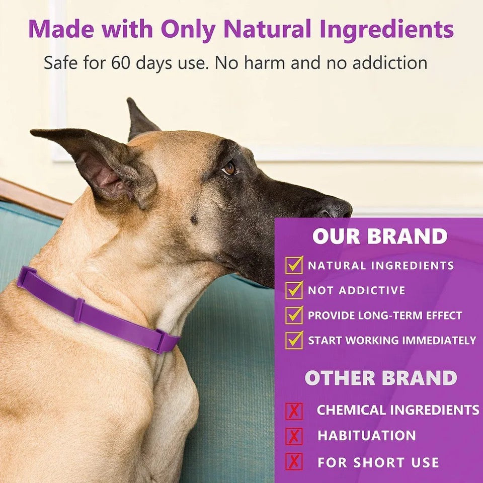 Calming Collar for Dogs & Cats | 60-Day Pheromone & Essential Oil Release | Adjustable, Water-Resistant, Purple or Grey