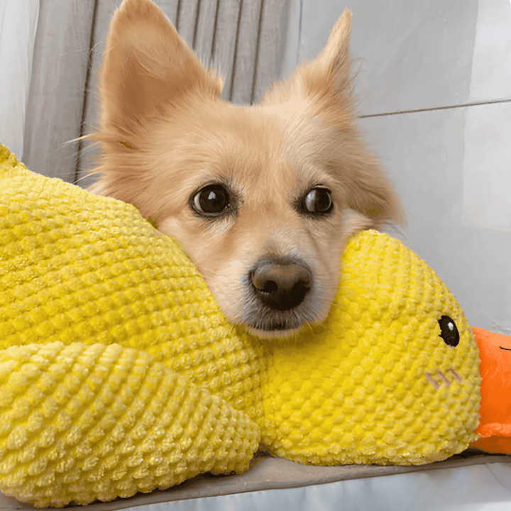 Calming Plush Duck Dog Toy | Soft Bite-Resistant Fabric | Reduces Anxiety for Deeper, Calmer Sleep and Safe for Teeth and Gums