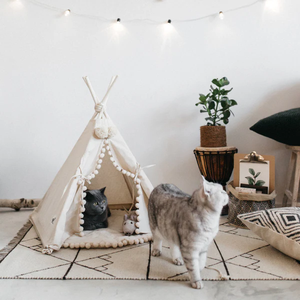 Canvas Pet Teepee Tent | Pine Wood Poles &amp; Machine-Washable Cover | Collapsible Design for Small Dogs and Cats, Three Sizes
