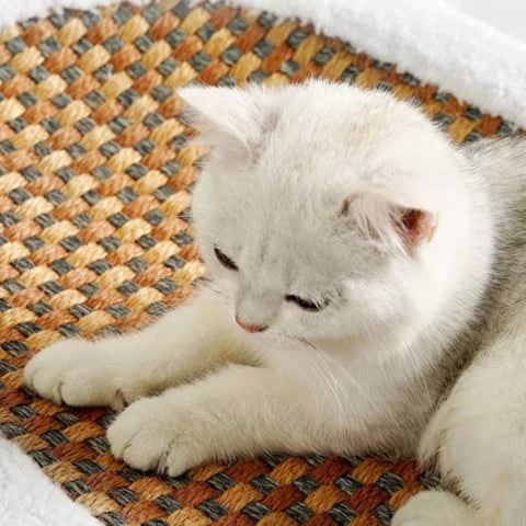 Cat Scratcher Bed Oval Low-Profile Plush Bolster with Woven Scratch Pad
