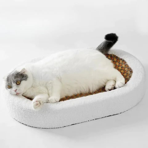 Cat Scratcher Bed Oval Low-Profile Plush Bolster with Woven Scratch Pad