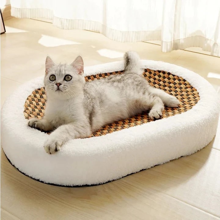 Cat Scratcher Bed Oval Low-Profile Plush Bolster with Woven Scratch Pad