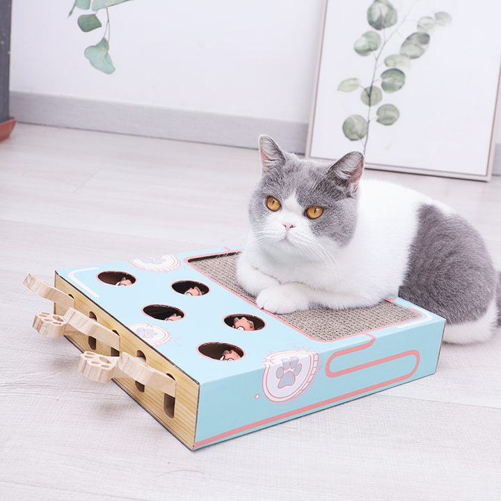 Cat Scratcher Playground Corrugated Paper | 3-in-1 Climbing, Hiding and Scratching Levels | Protects Furniture &amp; Keeps Cats Active