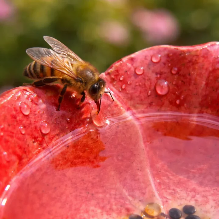 Ceramic Flower Drinking Bowls | Water Dishes for Bees, Butterflies &amp; Birds | Handmade All-Weather Design