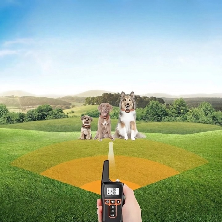 Dog Collar With Remote Control | Vibration And Tone, No Shock