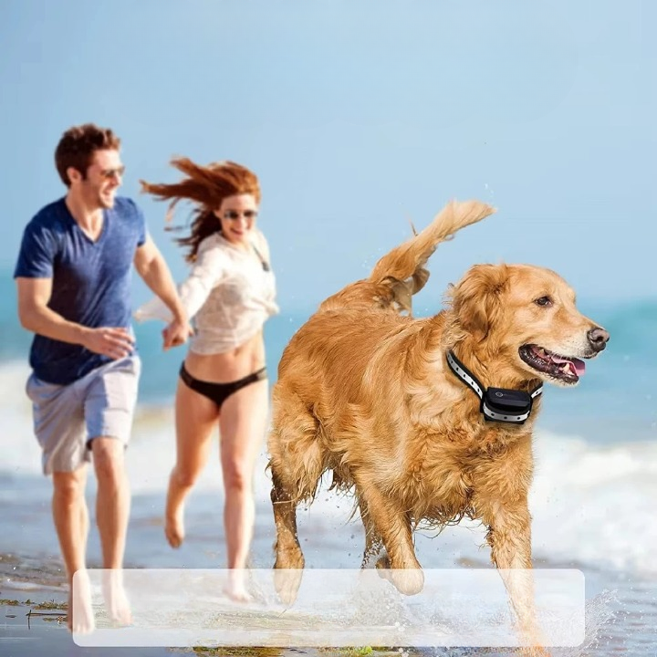 Dog Collar With Remote Control | Vibration And Tone, No Shock