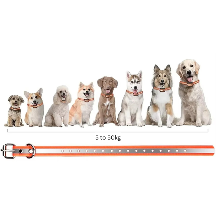 Dog Collar With Remote Control | Vibration And Tone, No Shock