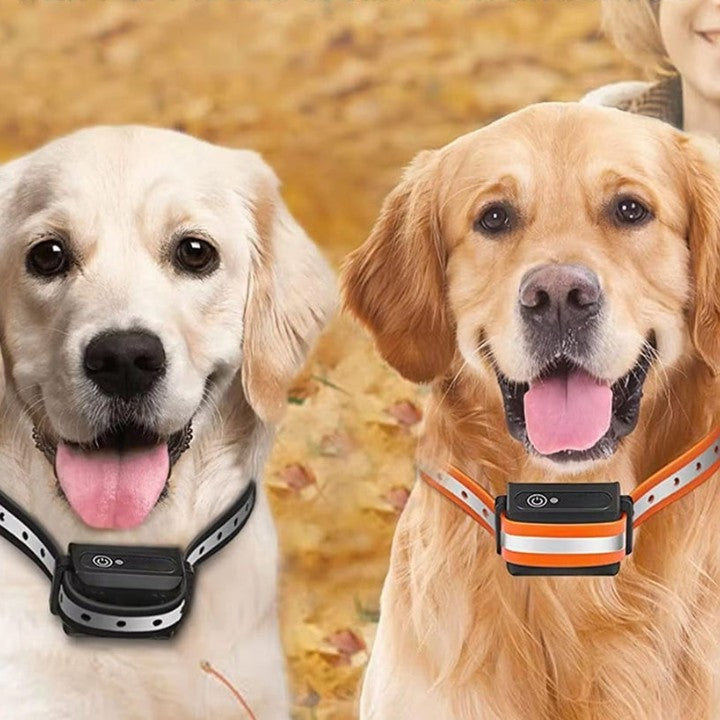 Dog Collar With Remote Control | Vibration And Tone, No Shock
