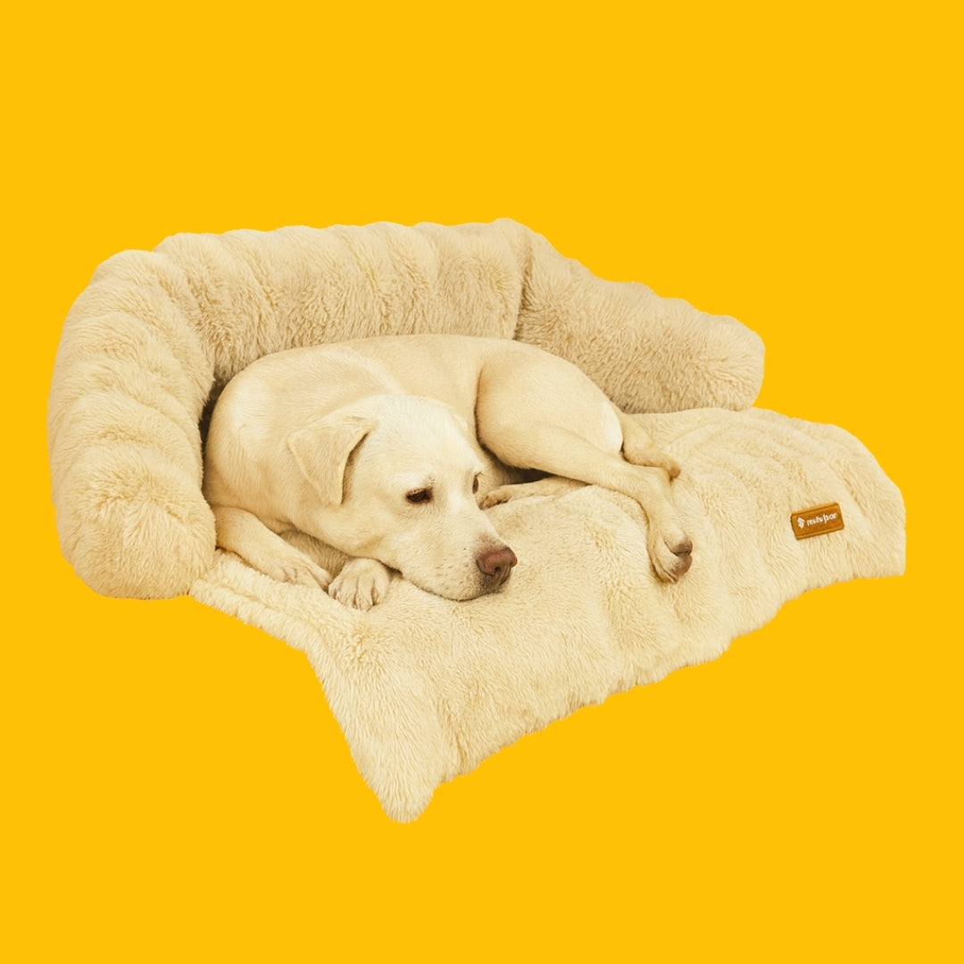 Dog Sofa Bed Plush Fabric | Raised Sides, Cushioned Base &amp; Removable Cover | Protects Furniture, Supports Restful Sleep