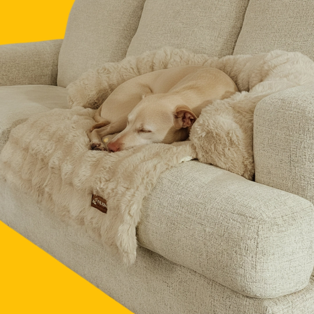Dog Sofa Bed Plush Fabric | Raised Sides, Cushioned Base &amp; Removable Cover | Protects Furniture, Supports Restful Sleep