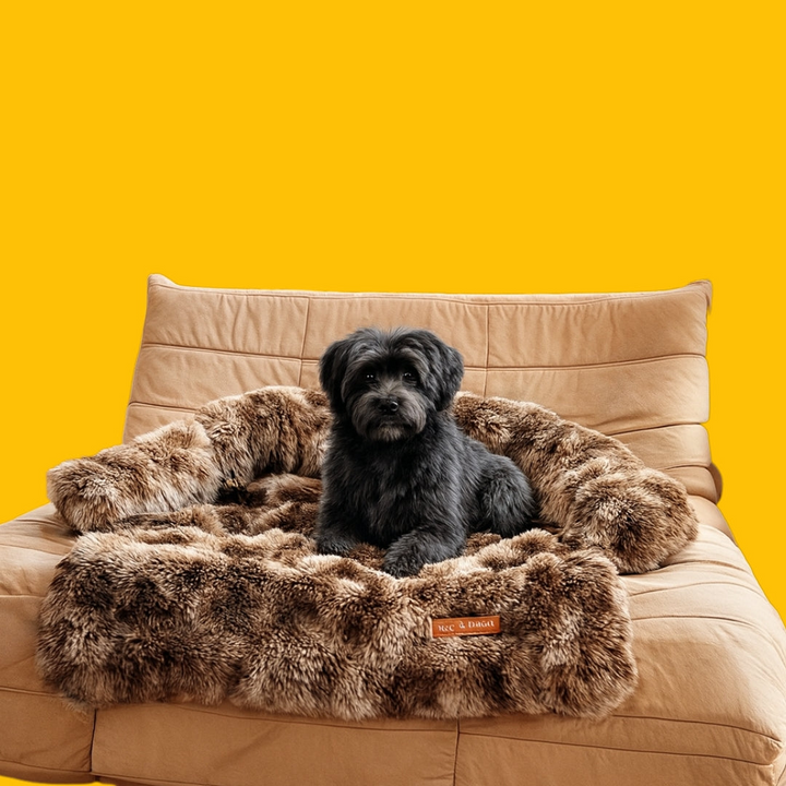 Dog Sofa Bed Plush Fabric | Raised Sides, Cushioned Base &amp; Removable Cover | Protects Furniture, Supports Restful Sleep