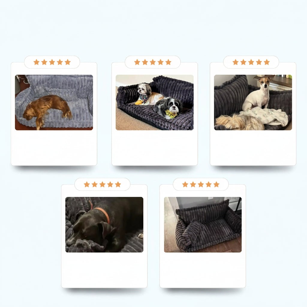 Dog Sofa Bed Washable Cover | Raised Bolster Sides &amp; Thick Padded Base | Orthopedic Support for All Dog Breeds and Sizes