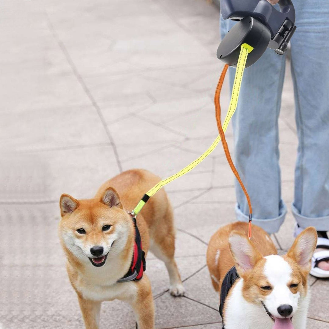 Double Retractable Dog Lead | Twin Cords, Clip-On Torch