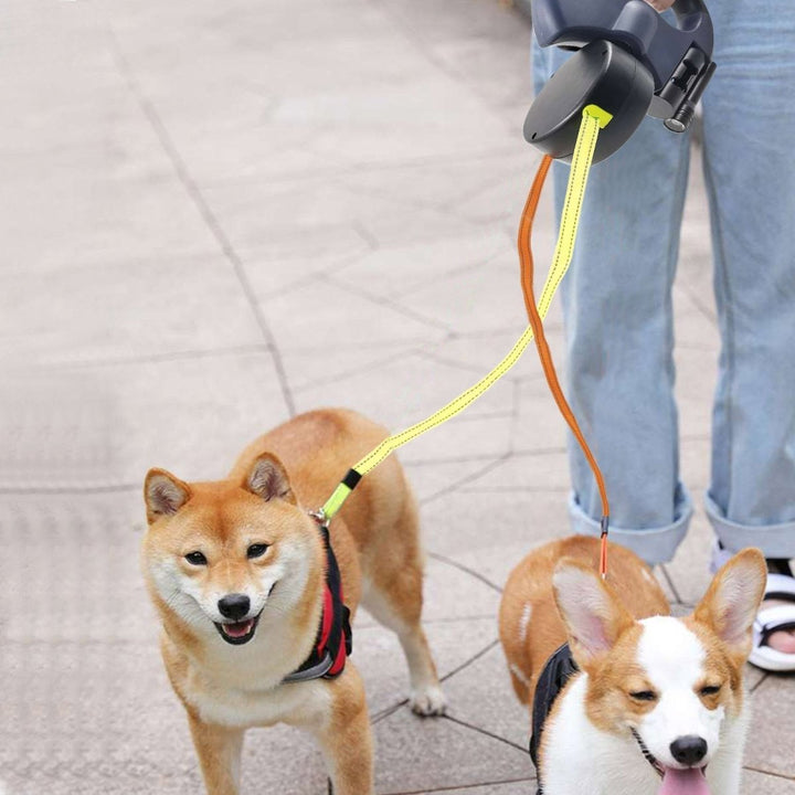 Double Retractable Dog Lead | Twin Cords, Clip-On Torch