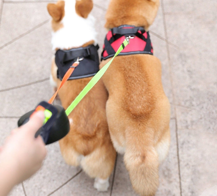 Double Retractable Dog Lead | Twin Cords, Clip-On Torch