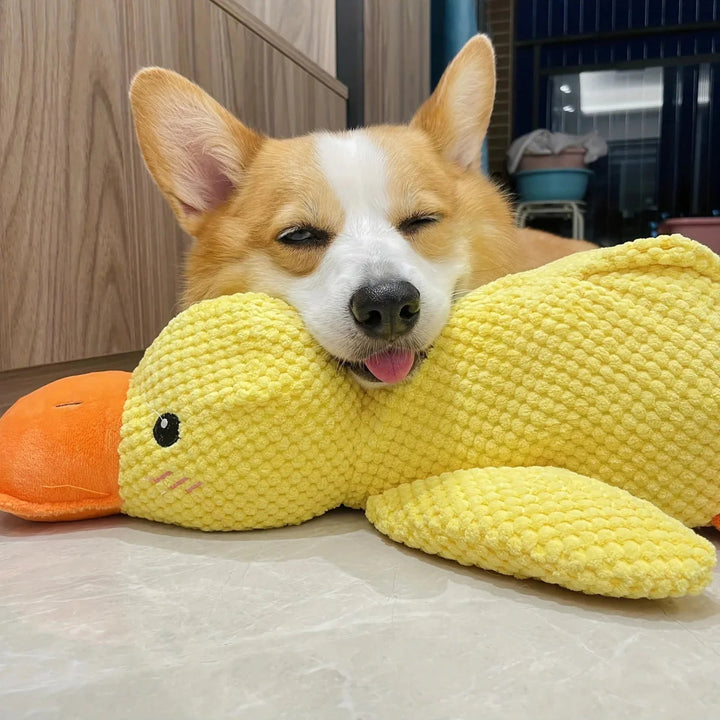 Duck Dog Durable Toy | Squeaky Textured Comfort Duck