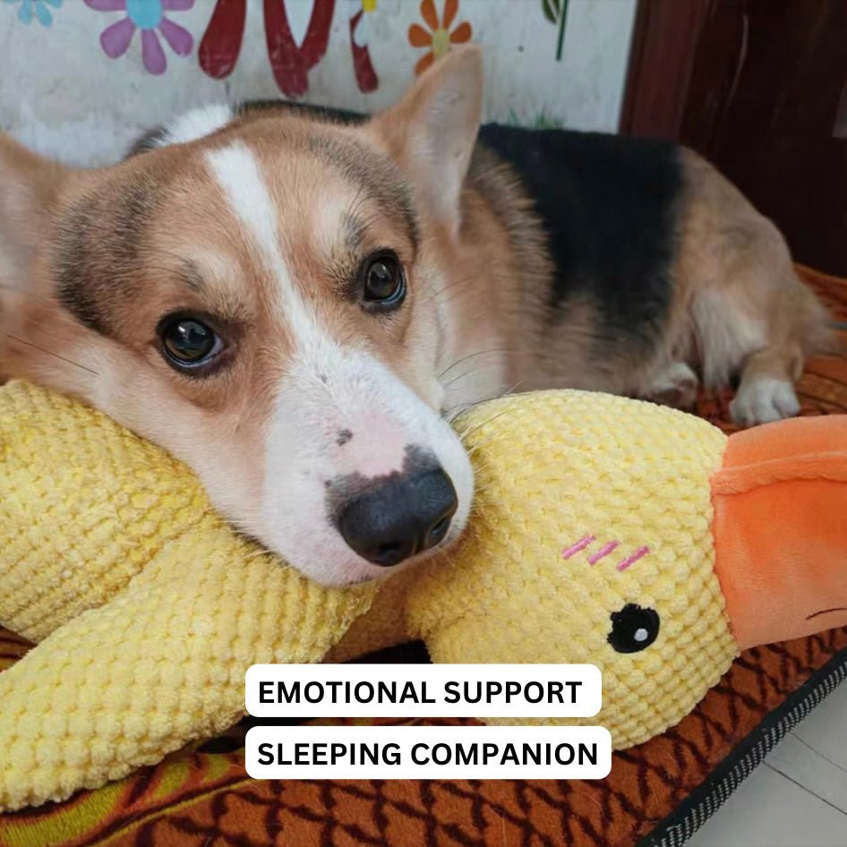 Duck Dog Durable Toy | Squeaky Textured Comfort Duck