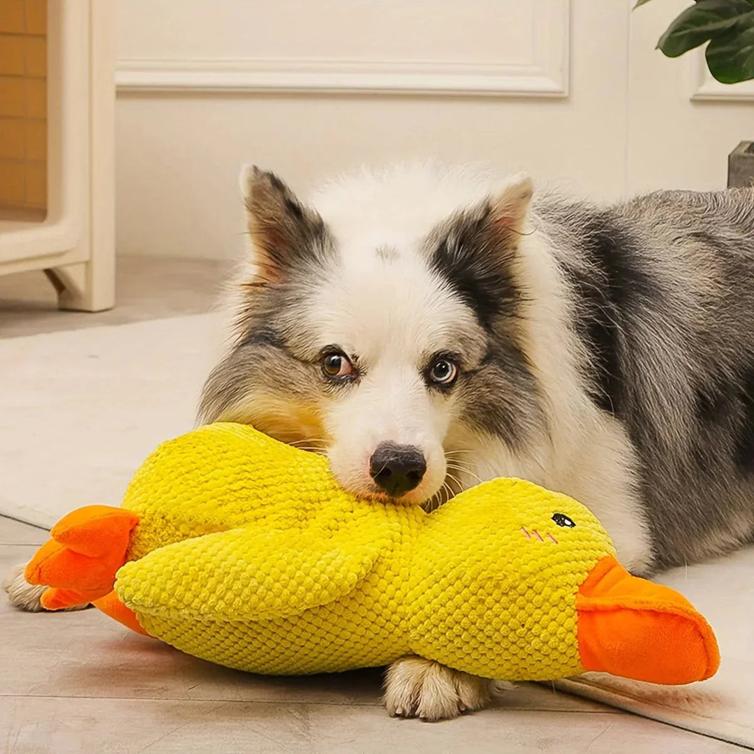 Duck Dog Durable Toy | Squeaky Textured Comfort Duck