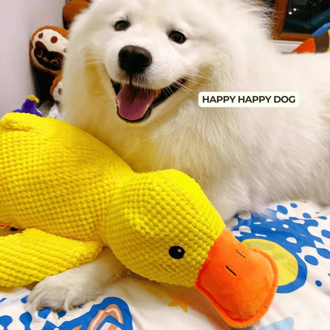 Duck Dog Durable Toy | Squeaky Textured Comfort Duck