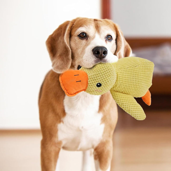 Duck Dog Durable Toy | Squeaky Textured Comfort Duck