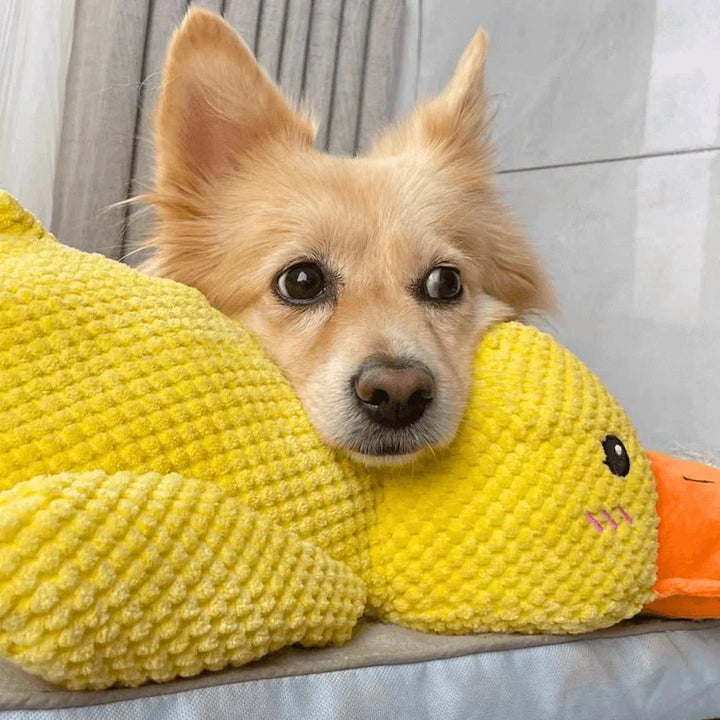 Duck Shaped Dog Chew Toy Squeaky Quacking Tug Toy Pet Safe