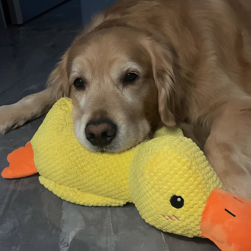 Duck Shaped Dog Chew Toy Squeaky Quacking Tug Toy Pet Safe