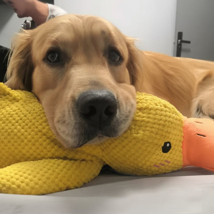 Duck Shaped Dog Chew Toy Squeaky Quacking Tug Toy Pet Safe