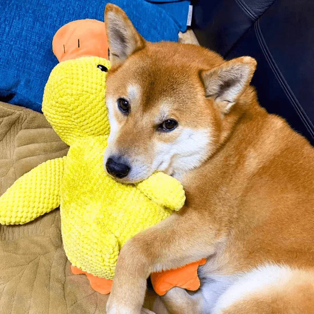 Duck Shaped Dog Chew Toy Squeaky Quacking Tug Toy Pet Safe