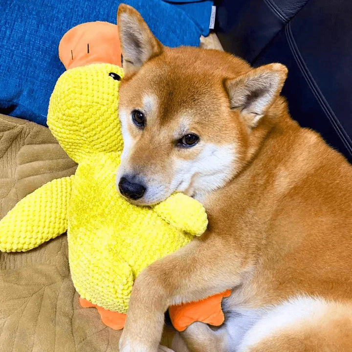 Duck Shaped Dog Chew Toy Squeaky Quacking Tug Toy Pet Safe