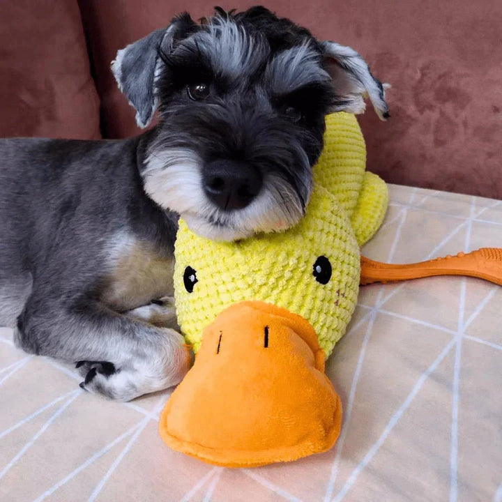 Duck Shaped Dog Chew Toy Squeaky Quacking Tug Toy Pet Safe