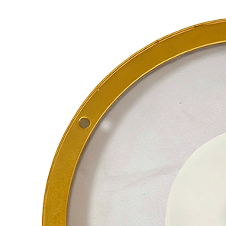 Floating Wall Shelf Rechargeable LED Circular Plant Display with Ambient Glow