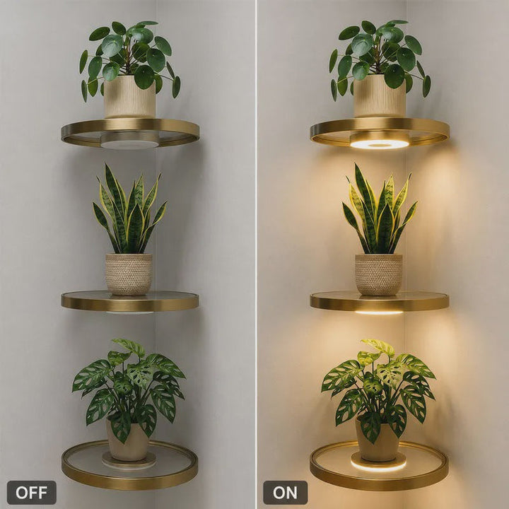 Floating Wall Shelf Rechargeable LED Circular Plant Display with Ambient Glow