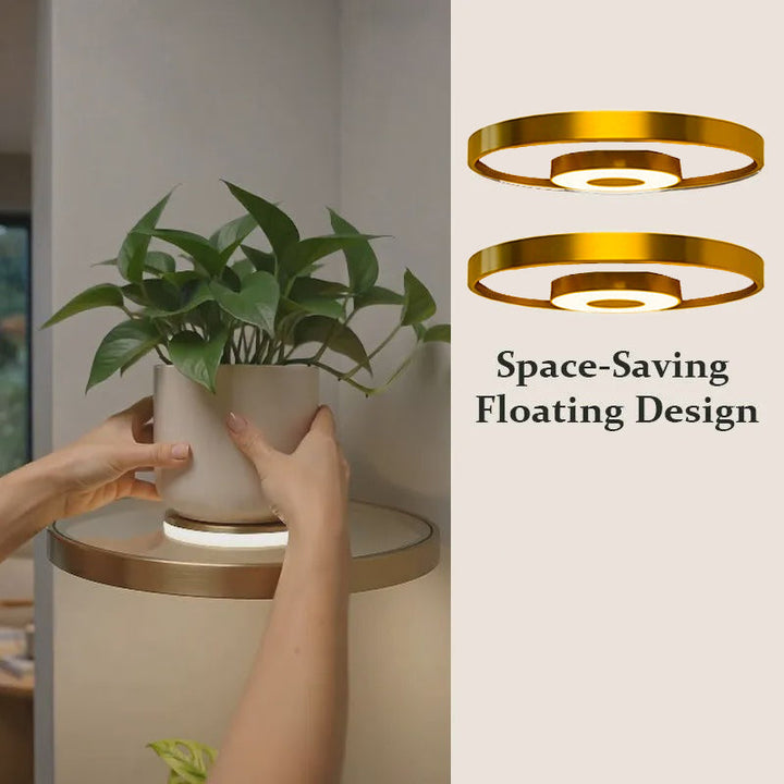 Floating Wall Shelf Rechargeable LED Circular Plant Display with Ambient Glow
