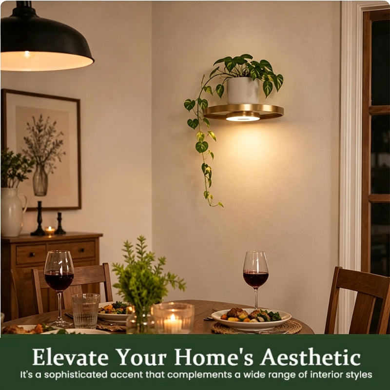 Floating Wall Shelf Rechargeable LED Circular Plant Display with Ambient Glow