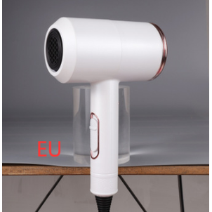 Hair Dryer with Diffuser and Concentrator Nozzles | 2000W Ionic Motor, Constant Heat | Dual Voltage for Worldwide Travel Use